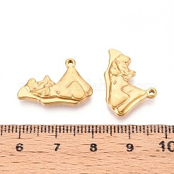 201 colgantes de acero inoxidable&nbsp;STAS-N109-223G