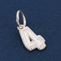 Ciondoli in argento sterling serie numero 925&nbsp;LS-STER-Q002-01E