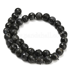 Brins de perles de larvikite naturelles&nbsp;G-C280-B06-12mm