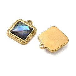 Natur Paua Muschel Anhänger&nbsp;STAS-G397-21G-02