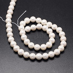 Chapelets de perles de coquille&nbsp;BSHE-E008-4mm-12