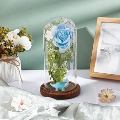 Couvercle de dôme en verre&nbsp;AJEW-WH0475-19D