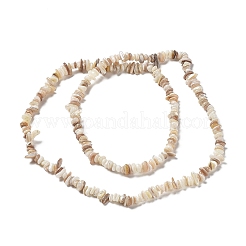Naturali di acqua dolce perline shell fili&nbsp;G-M205-85B