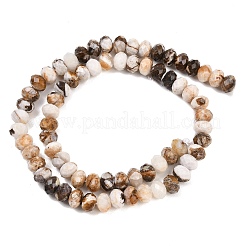 Natürliche versteinerte Holzperlen Stränge&nbsp;G-C259-A29-5x8mm