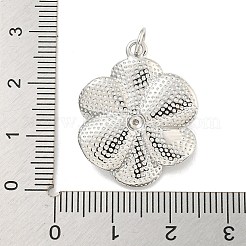 Porte micro ouvrent pendentifs zircone cubique en laiton de placage&nbsp;KK-C059-01P