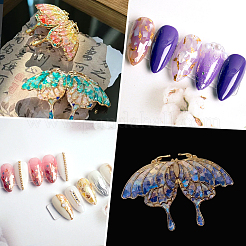 1 set di 12 fette di conchiglia colorate&nbsp;MRMJ-SP0001-05B