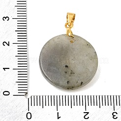 Pendentifs de labradorite naturelle&nbsp;GG-CBA260E-03G-14