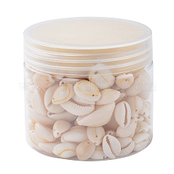 Perle naturali di conchiglia di ciprea&nbsp;BSHE-CJ0002-01
