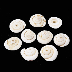 Perle naturali di conchiglie di shiva, 15~20x14~18x5~10mm, Foro: 1 mm