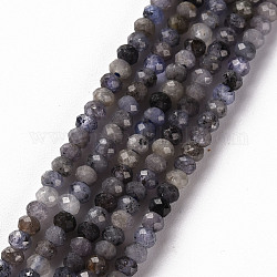Perline tanzanite naturale fili, rondelle, sfaccettato, 3x2mm, Foro: 0.5 mm, circa 188~190pcs/filo, 15.35 pollice (39 cm)