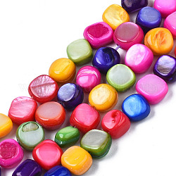 Chapelets de perles de coquille de trochid / trochus coquille, teinte, plat rond, colorées, 5~9x1~6mm, Trou: 0.8mm, Environ 49~50 pcs/chapelet, 15.16 pouce ~ 15.87 pouces (38.5 cm ~ 40.3 cm)