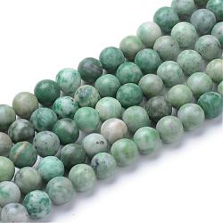 Qinghai naturelle perles de jade brins, ronde, 6~6.5mm, Trou: 1mm, Environ 63 pcs/chapelet, 15.5 pouce