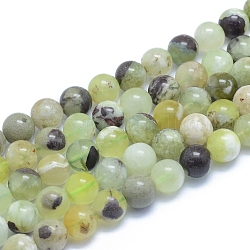 Chapelets de perles de jade naturel, ronde, 9~9.5mm, Trou: 0.8mm, Environ 44 pcs/chapelet, 15.55 pouce (39.5 cm)