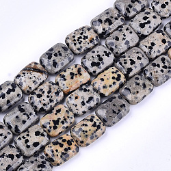 Chapelets de perles en jaspe dalmatien naturelle, rectangle, 17.5~18.5x13~13.5x6~7mm, Trou: 1mm, Environ 22 pcs/chapelet, 15.5 pouce
