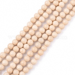 Perles en fossile naturelle, ronde, 4mm, Trou: 1mm, Environ 88 pcs/chapelet, 15 pouce