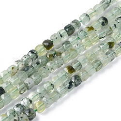 Chapelets de perles en préhnite naturelle, facette, cube, 4x4x4mm, Trou: 0.7mm, Environ 96~101 pcs/chapelet, 15.35 pouce ~ 15.55 pouces (39~39.5 cm)
