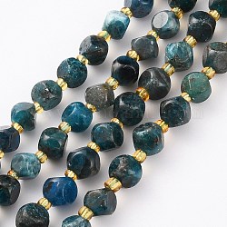 Chapelets de perles en apatite naturelle, avec des perles de rocaille, dés célestes à six faces, teinte, facette, 6~6.5x6~6.5mm, Trou: 1mm, Environ 24 pcs/chapelet, 7.99 pouce (20.3 cm)