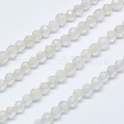 Natural Grey Agate Beads Strands, Dyed, Faceted, Round, WhiteSmoke, 2mm, Hole: 0.5mm