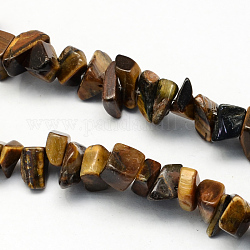 Hebras de perlas naturales tigre de piedra de ojo, chip, 8~18x6~12x3~7mm, agujero: 1 mm, aproximamente 160 PC / hilos, 34.6 pulgada