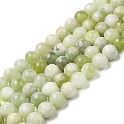 Naturali nuove perle di giada fili, tondo, 10mm, Foro: 1 mm, circa 37pcs/filo, 14.76''~14.96'' (37.5~38 cm)