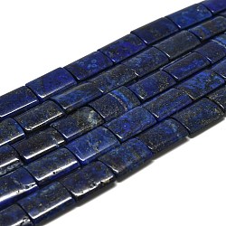 Filo di Perle lapis lazuli naturali , rettangolo, 19~20x15x5~6mm, Foro: 0.8 mm, circa 20pcs/filo, 15.35'' (39 cm)