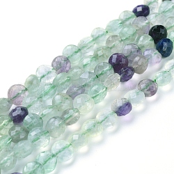Natural Fluorite Beads Strands, Faceted, Flat Round, 6~7x4~4.5mm, Hole: 1mm, about 61~64pcs/strand, 14.96 inch(38cm)