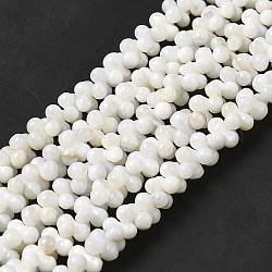 Eau douce naturelle de coquillage perles brins, arachide, beige, 7.5~8x3.5~4mm, Trou: 0.9mm, Environ 127 pcs/chapelet, 15.08'' (38.3 cm)