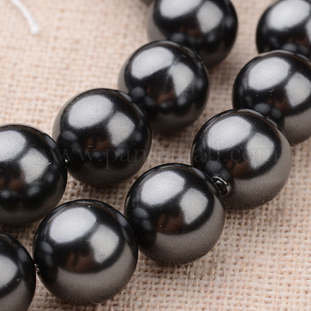 Polished Round Grade A Shell Pearl Bead Strands BSHE-M027-14mm-06-1
