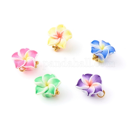 Polymer Clay Charms PALLOY-JF00693-1