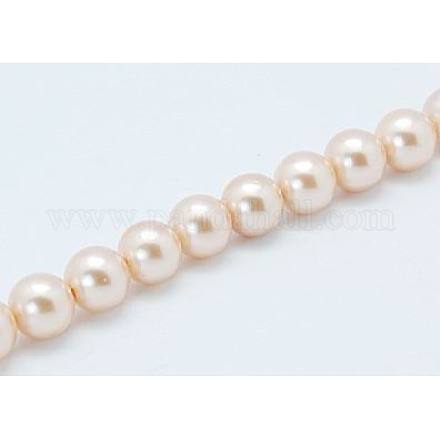 Chapelets de perles de coquille X-SP8MM218-1