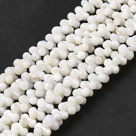 Eau douce naturelle de coquillage perles brins BSHE-E026-17-1