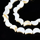 Eau douce naturelle de coquillage perles brins X-SHEL-N026-151-3