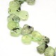 Natural Gemstone Prehnite Beads Strands G-L157-03-2