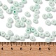 Выпечка краска стеклянные бусины SEED-C003-02I-4