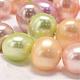 Dyed Shell Pearl Bead Strands BSHE-L013-S-L-6
