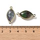 Natural Fluorite Faceted Connector Charms G-K347-03G-15-3