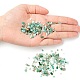 Natural Amazonite Chip Beads G-FS0001-16-5
