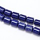 Column Lapis Lazuli Beads Strands G-N0140-04-8x10mm-1