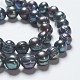 Natural Cultured Freshwater Pearl Beads Strands PEAR-R012-01-1