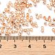 Бисер из стекла  X-SEED-S042-04B-17-4