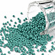 11/0 Grade A Baking Paint Glass Seed Beads X-SEED-N001-A-1015-1