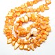 Chapelets de perles de coquille d'eau douce naturelle teinte SHEL-J002-05-2