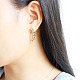 Trendy Alloy Rhinestone Dangle Earrings EJEW-N0020-047A-02-2