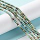 Chapelets de perles en turquoise de HuBei naturelle G-M411-A01-02-4