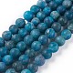 Natural Apatite Beads Strands G-F617-02-12mm-1