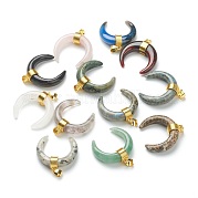 Природные и синтетические Gemstone подвески G-A017-G