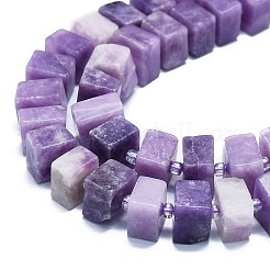 Fili di perle di pietra mica naturale di lepidolite / viola&nbsp;G-K245-F01-05