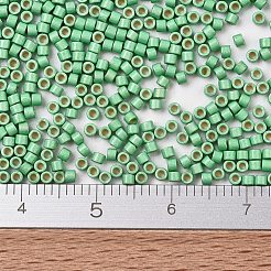 Perline miyuki delica&nbsp;SEED-J020-DB1844F