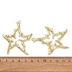 Legierung große Anhänger & Charms&nbsp;FIND-Z095-10G