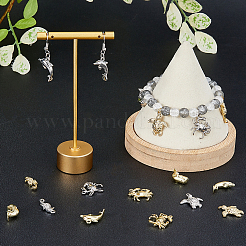 20 stücke 10 stil rack plattierung legierung charms&nbsp;FIND-FH0007-48